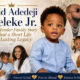David Adedeji Adeleke Jr
